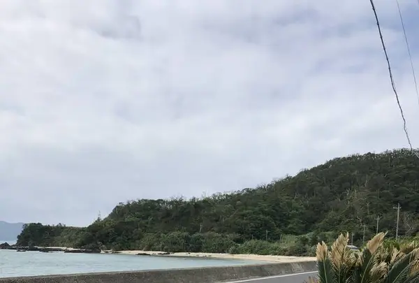 イズムリカフェの写真・動画_image_558461