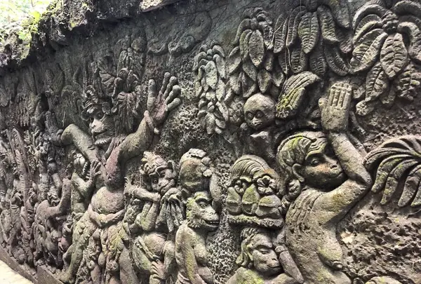 モンキーフォレスト（Monkey Forest）の写真・動画_image_558938
