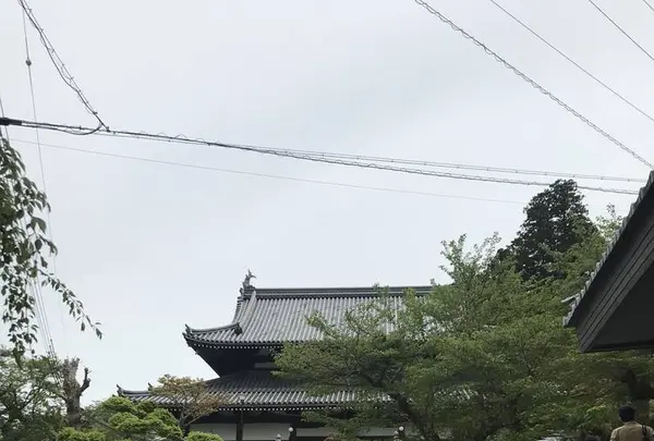 有馬温泉の写真・動画_image_560355