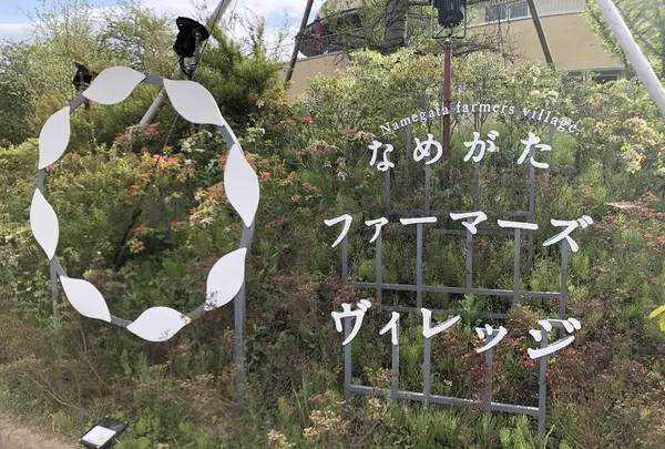 なめがたファーマーズヴィレッジの写真・動画_image_560972