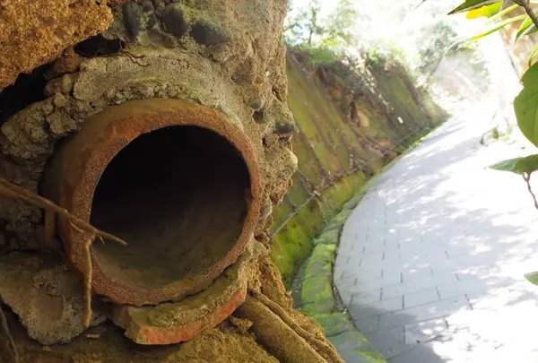 猿島の写真・動画_image_560982