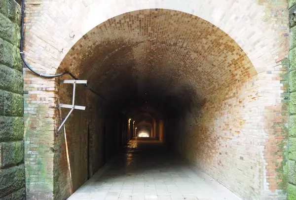 猿島の写真・動画_image_560983