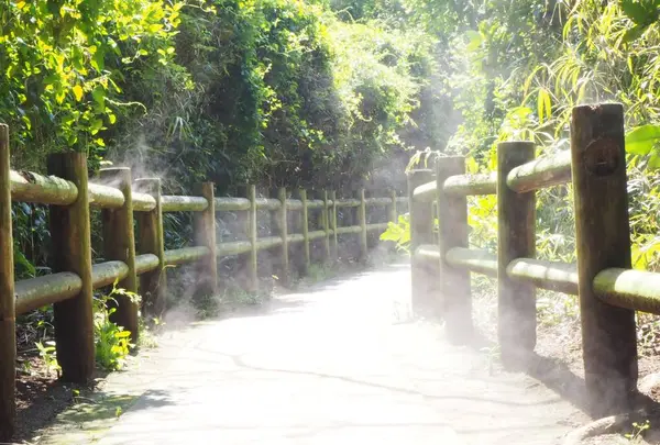 猿島の写真・動画_image_560984