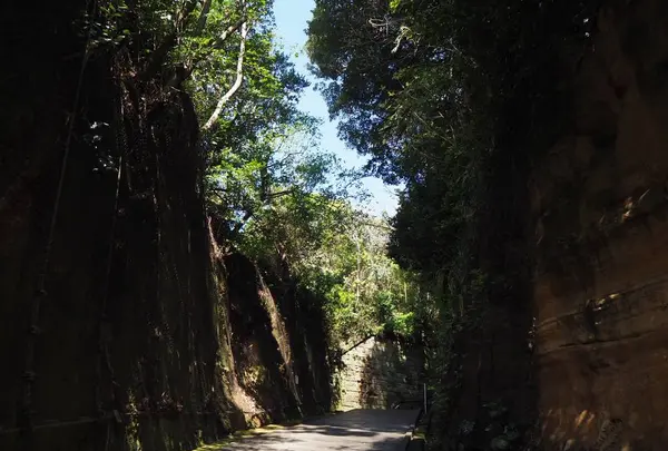 猿島の写真・動画_image_560985