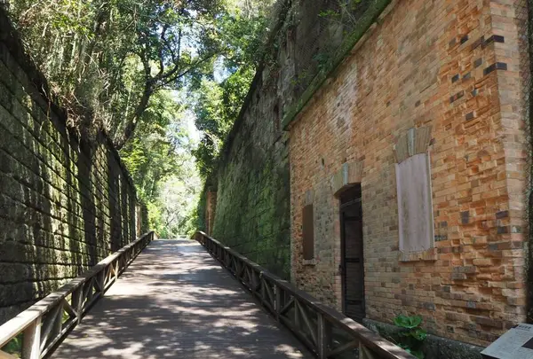 猿島の写真・動画_image_560986