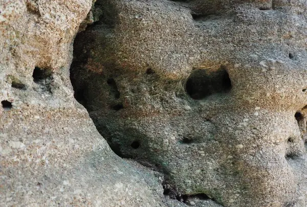 猿島の写真・動画_image_560987