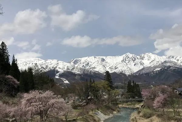 大出公園の写真・動画_image_561206