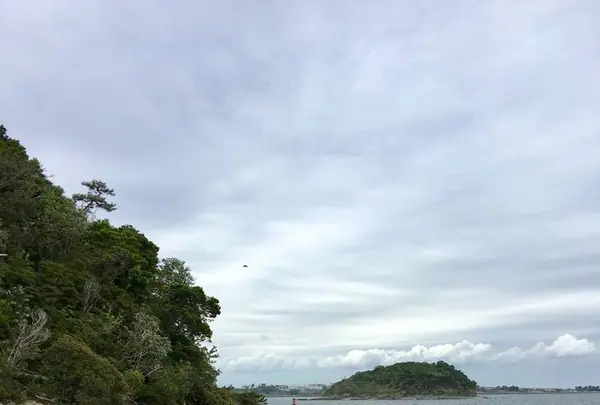 篠島の写真・動画_image_561209