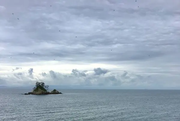 篠島の写真・動画_image_561210