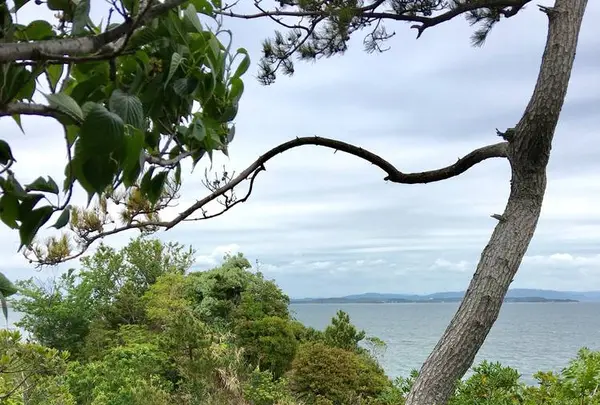 篠島の写真・動画_image_561212