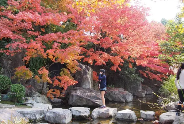 松山城二之丸史跡庭園の写真・動画_image_561457