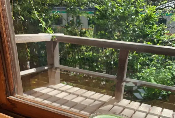 香下庵茶屋の写真・動画_image_561560