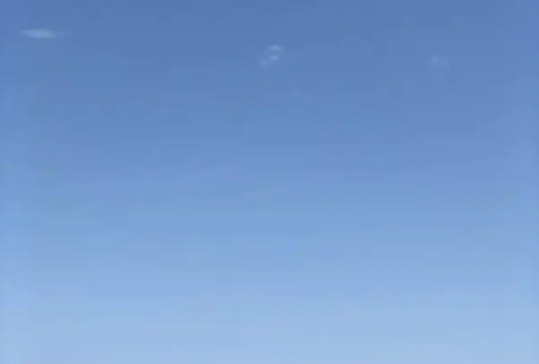 ワッカ原生花園の写真・動画_image_563270