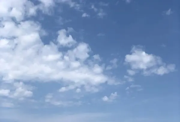 ワッカ原生花園の写真・動画_image_563272