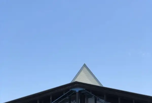 ワッカ原生花園の写真・動画_image_563273