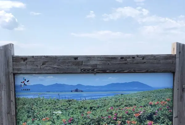 ワッカ原生花園の写真・動画_image_563274