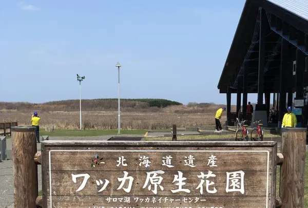 ワッカ原生花園の写真・動画_image_563275