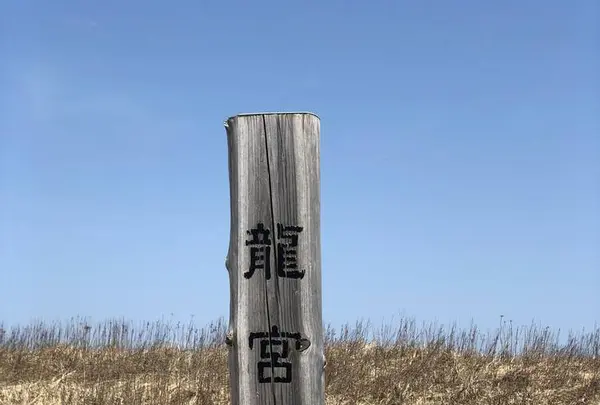 ワッカ原生花園の写真・動画_image_563276