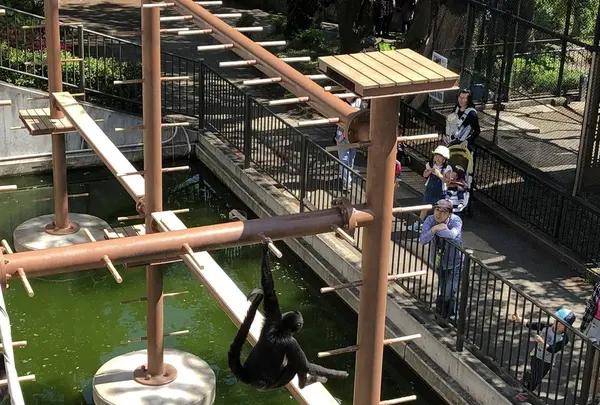 桐生が岡動物園の写真・動画_image_563844