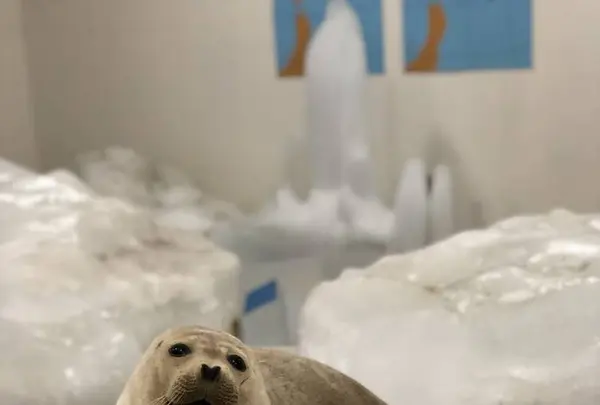 宗谷岬流氷館の写真・動画_image_563902