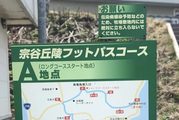白い貝殻の道の写真・動画_image_563976