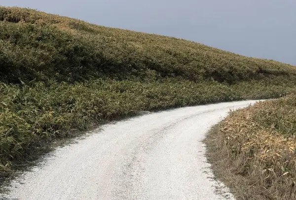 白い貝殻の道の写真・動画_image_563987