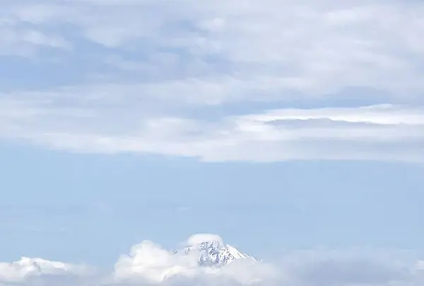 ノシャップ岬の写真・動画_image_564004