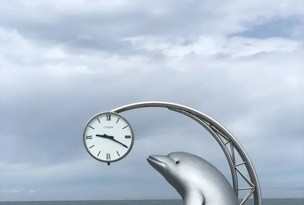ノシャップ岬の写真・動画_image_564008
