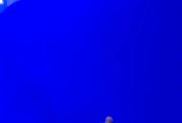 稚内市立ノシャップ寒流水族館の写真・動画_image_564017