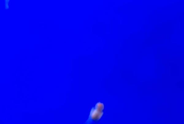 稚内市立ノシャップ寒流水族館の写真・動画_image_564021