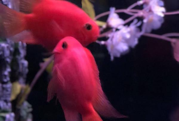 稚内市立ノシャップ寒流水族館の写真・動画_image_564027