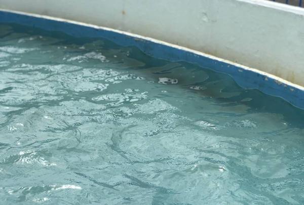 稚内市立ノシャップ寒流水族館の写真・動画_image_564044