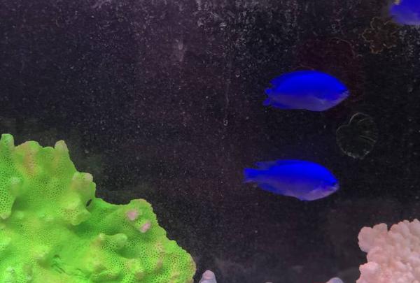 稚内市立ノシャップ寒流水族館の写真・動画_image_564046