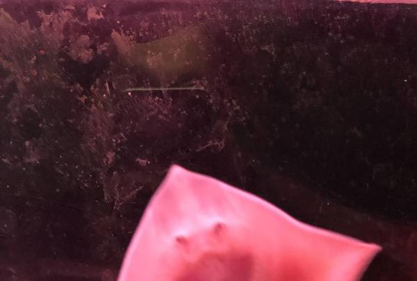 稚内市立ノシャップ寒流水族館の写真・動画_image_564049