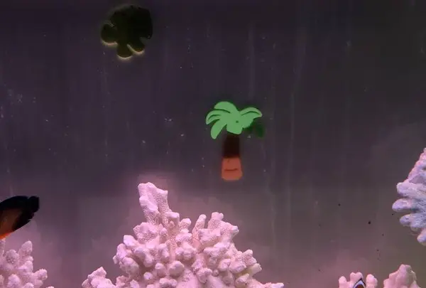 稚内市立ノシャップ寒流水族館の写真・動画_image_564058