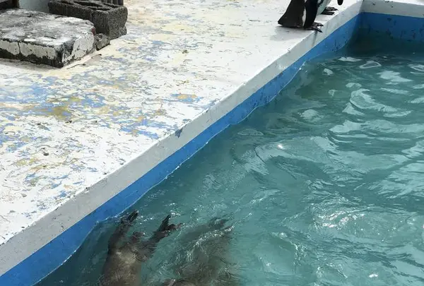 稚内市立ノシャップ寒流水族館の写真・動画_image_564072