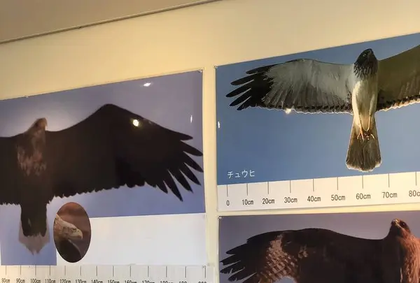 道の駅てしおの写真・動画_image_564289