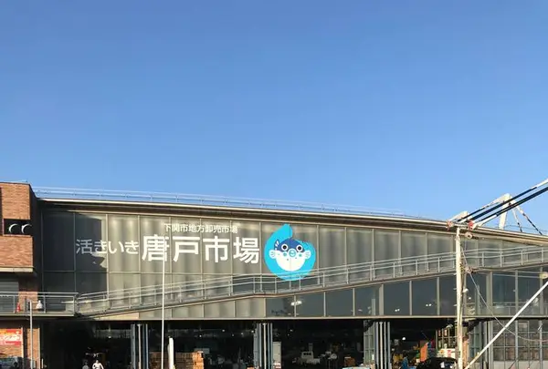 唐戸市場の写真・動画_image_564861