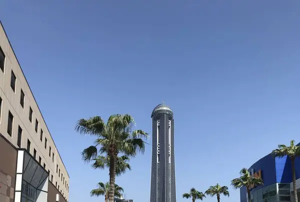 大歳神社の写真・動画_image_564873