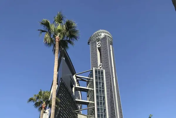 大歳神社の写真・動画_image_564875