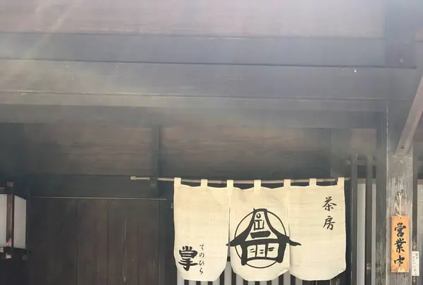 掌の写真・動画_image_565103