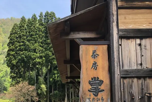 掌の写真・動画_image_565104