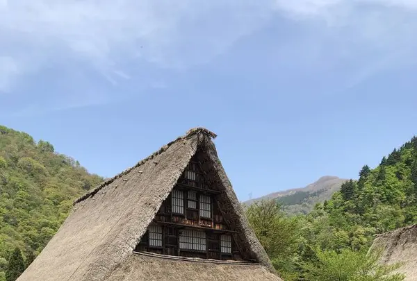 菅沼合掌造り集落の写真・動画_image_565268