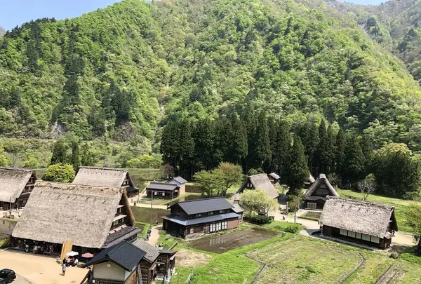菅沼合掌造り集落の写真・動画_image_565271