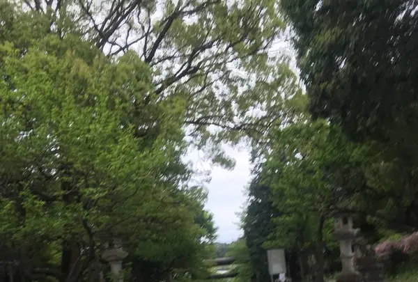 常磐神社の写真・動画_image_565491