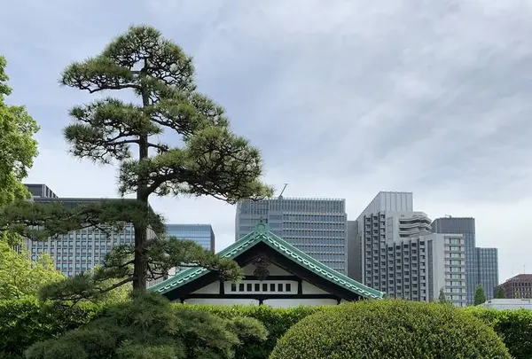 皇居東御苑の写真・動画_image_565553