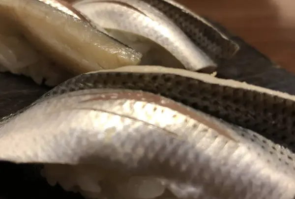 すし義の写真・動画_image_565871