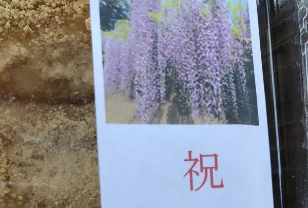 白毫寺の写真・動画_image_566045