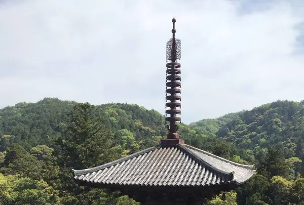 法華山一乗寺の写真・動画_image_566258