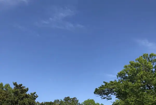 茨城県護国神社の写真・動画_image_566405